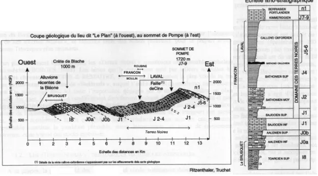Fig.  2 : Coupe géologique et échelle lithostratigraphique (d’après carte géologique au 1/80000 ème  et travaux de Coulmeau, 1987)