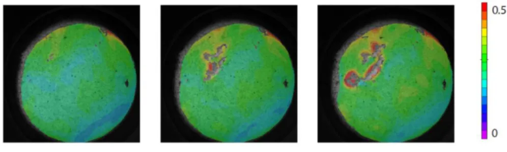 Figure 12  Gonflement  de  la  capsule  de  Glisson,  évolution  de  la  déformation  principale  de  Green-Lagrange  autour  d’une  fissure  (d’après  Brunon et coll., 2011a) 