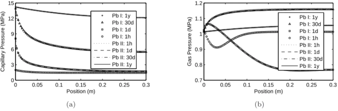 Figure 2.10 – Profiles de pressions capillaire et du gaz