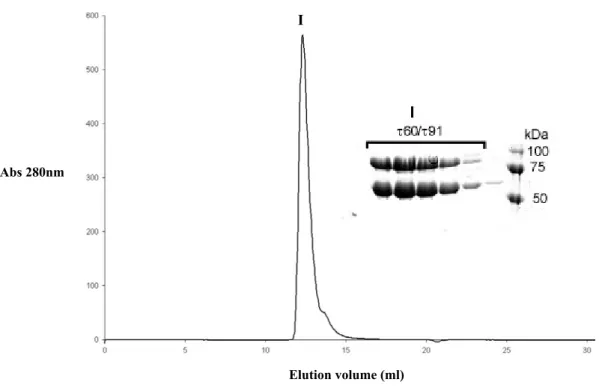 Figure 3.1  Subunit τ60 forms a stable complex with τ91: size exclusion chromatography profile of  the τ60/τ91 complex