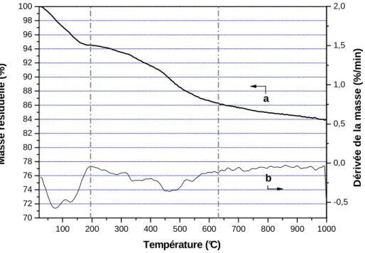 Figure 3. 4 : thermogramme typique d’un matériau hybride de type PMOS. a : variation de  la masse ;  b : dérivée de la variation de masse