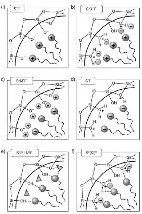 Figure 2. 6 : interactions existant entre les espèces inorganiques et les têtes de tensioactifs  structurant,  selon  les  conditions  de  synthèses :  acide,  basique  ou  neutre