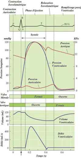 Fig. 5.4 – Courbes de pression, de volume et de débit artériels