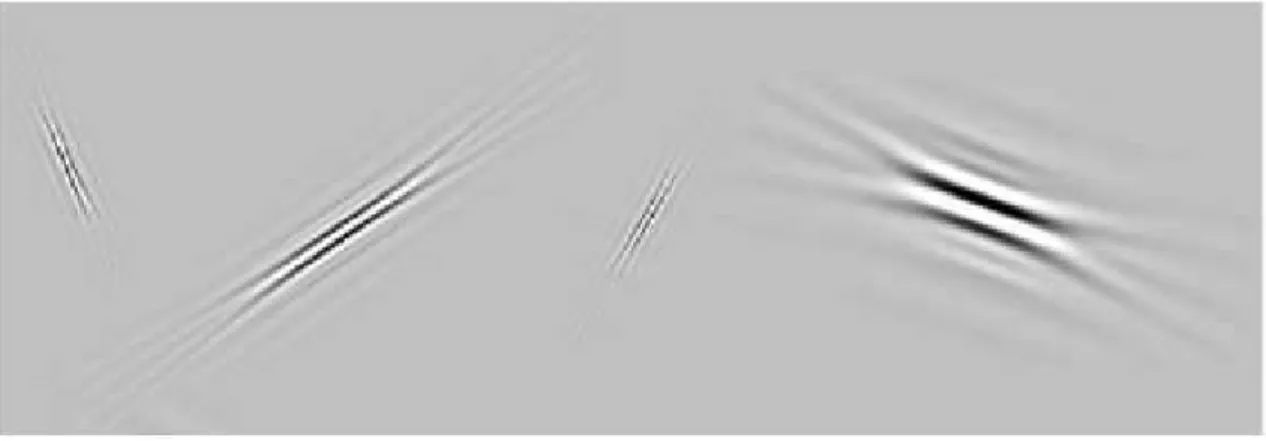 Fig. II.2 – Exemple de curvelets `a diff´erentes ´echelles et diff´erentes orientations.