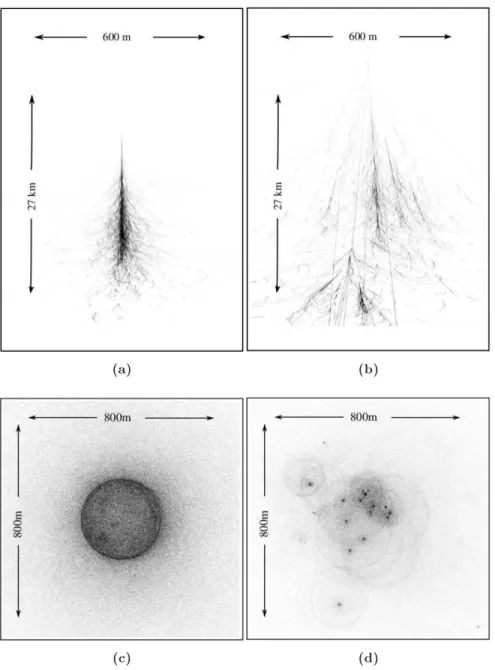 Figure 2.2: Comparison between shower shapes induced by a γ -ray (a) and by a proton