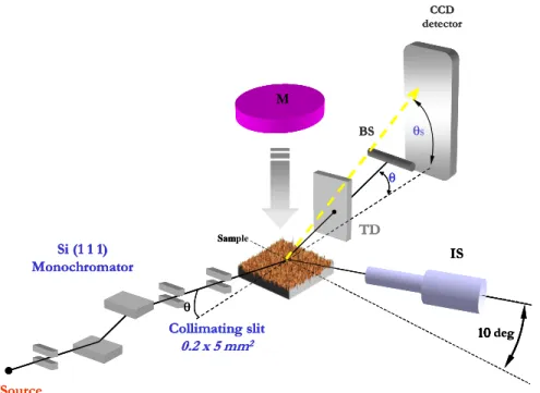 Figure 4-2: Sketch of the set-up, sputter source M, ion source IS, beamstop BS and transmission detector  TD