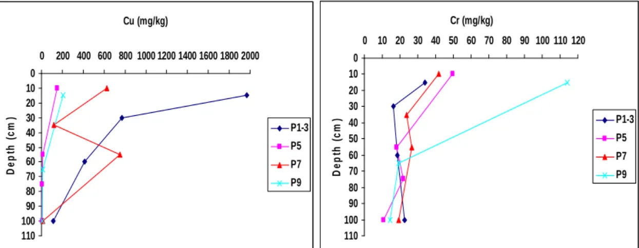 Figure 5.1: Vertical distribution of trace elements in the soil profiles 