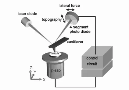 Figure 4.1.: Layout of a scanning force microscope (modied from [92])