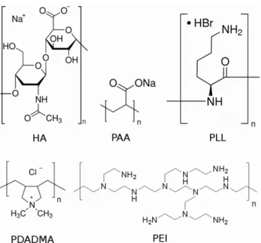 Figure 5.1.: Monomer structures of sodium hyaluronate (HA), poly(acrylic acid sodium salt) (PAA), poly(L-lysine hydrobromide) (PLL), poly(diallyldimethyl ammonium chloride) (PDADMA) and poly(ethylene imine) (PEI)