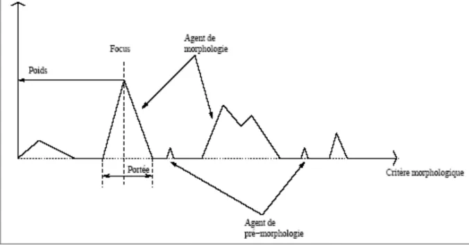 Figure 24: Représentation d’une organisation d’agents de morphologie 