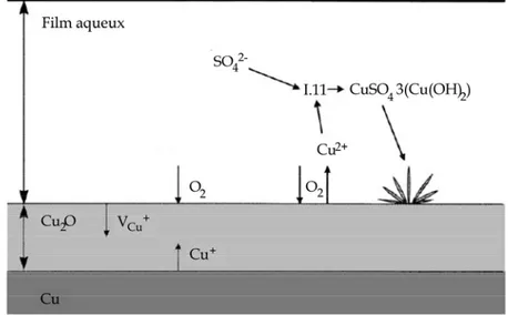 Figure I. 4: Illustration de la formation de cuprite et de brochantite sur le cuivre pur en milieu aéré (d’après  [FitzGerald, 2006])