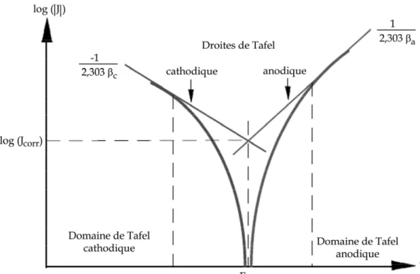 Figure II. 14 : Représentation schématique d’une courbe densité de courant - potentiel (coordonnées semi- semi-logarithmique) et des droites de Tafel