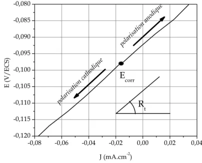 Figure II. 15 : Représentation de Stern pour des valeurs de surtension de l’ordre de 20 mV autour du  potentiel en circuit ouvert (Cu7Sn, v = 100 mV.s -1 , ω = 1000 tours.min -1 )