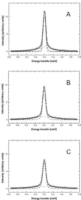 Figure 1: Quasielastic neutron scattering spectra of hemoglobin in human red blood cells at the  different temperatures (A) 16.9 °C, (B) 31.9 °C and (C) 45.9 °C at the scattering vector q=1.6 Å -1 