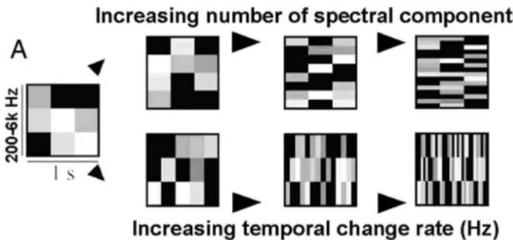 Figure  I.1  6 :  Manipulations  orthogonales  des  dimensions  spectrales  et  temporelles  d’un  signal acoustique