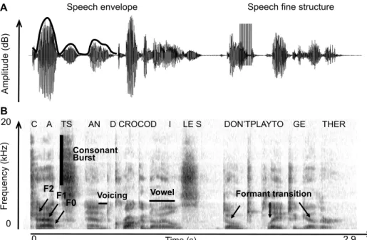 Figure I.2 1 : Deux représentations du signal acoustique de parole : transformée de Hilbert  et de Fourier