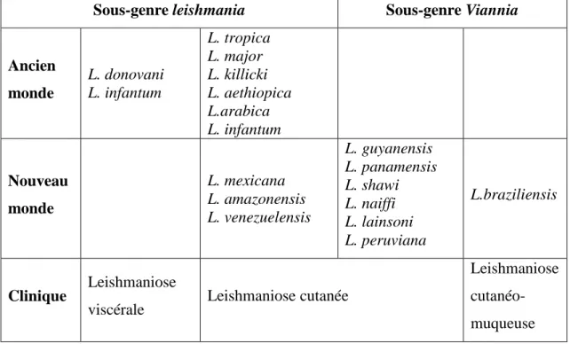Tableau 1 : Les principaux complexes du genre Leishmania répartis selon le  sous-genre, le domaine géographique et l’expression clinique principale