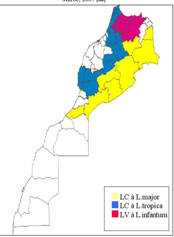 Figure 7: Répartition géographique des foyers de leishmaniose,   Maroc, 2007  [66]