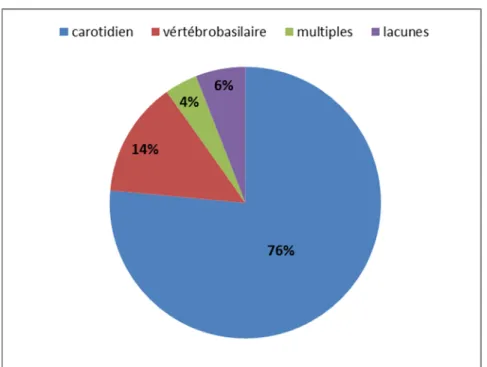 Figure 13 : La répartition des différents territoires vasculaires atteints 