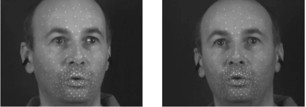 Figure 3.1: Ster eo-vision image pair of the speaker