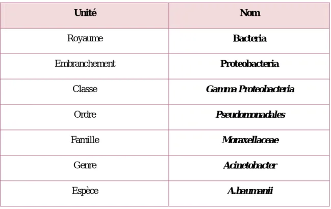 Tableau  II : Taxonomie d’A. baumanii  [23] 