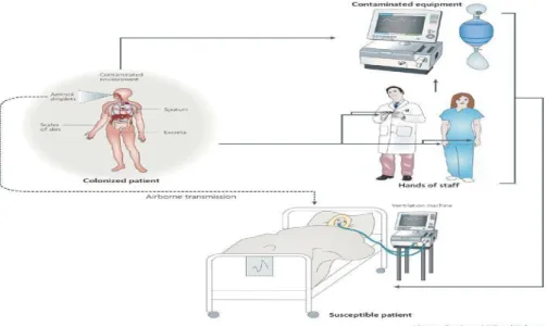 Figure 4 : Mode de transmission d'A.baumanii [36] 