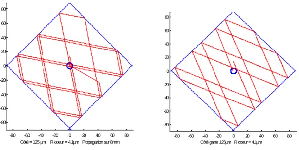 Figure IV-5 : Résultats de simulation dans le cas d’une fibre de section carrée.  