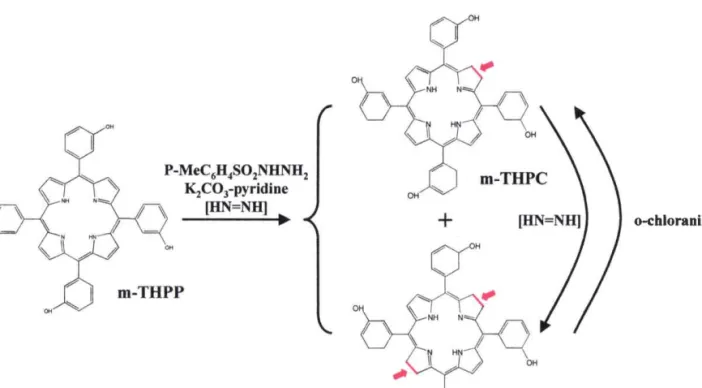 Figure  I.4 -  Synthèse de la m-THPC et de la n-THPBC  par la réduction de la m-THPP16