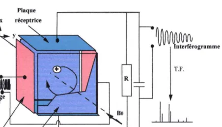 Figure U..2 -  Schéma  de la cellule de la microsonde  FTICRMS.