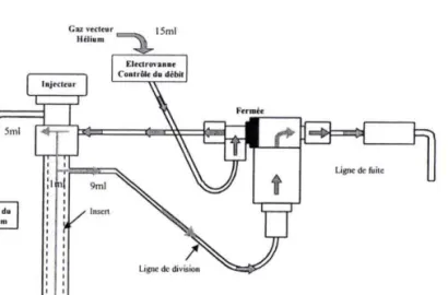 Figure II.7  -  Parcours  du gaz vecteur en mode split.