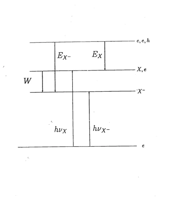 Figure  (3.1) :  Diagramme des transitions  qui  peuvent avoir lieu entre un  état  initial d'électron  et  un  état  final  de trion  négatif  (X-)  da,ns un  puits  qua.ntique