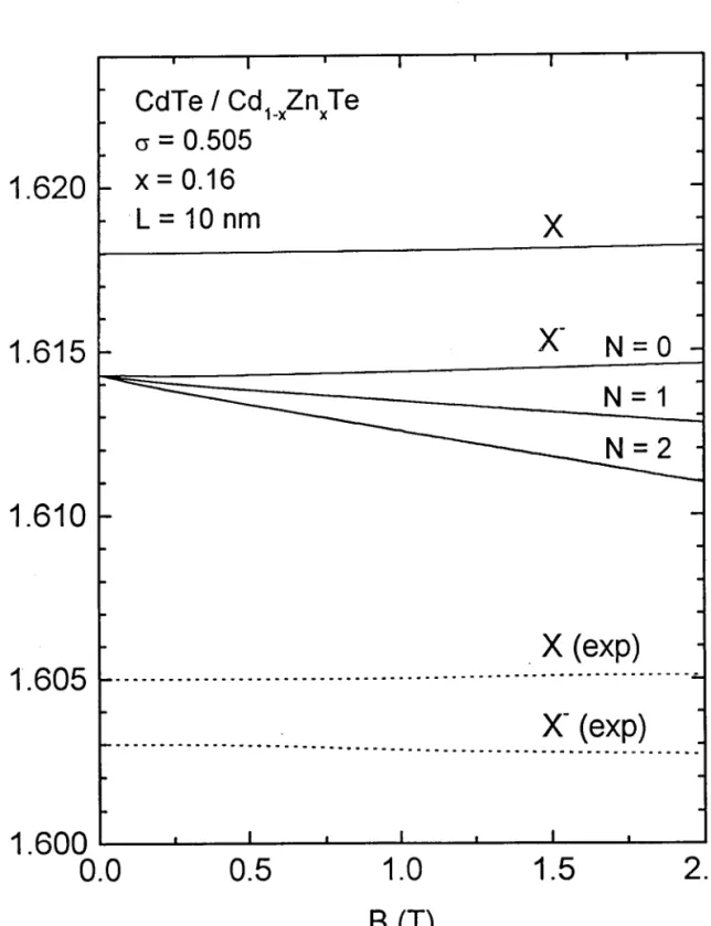 Figure  (3.9)  :  Comparaison des énergies de transition  théoriques et  expérimentales de (X)  et de (X-)  en fonction du champ magnétique dans un puits  quantique de type CdTe/Cdr -,Zn,Te.