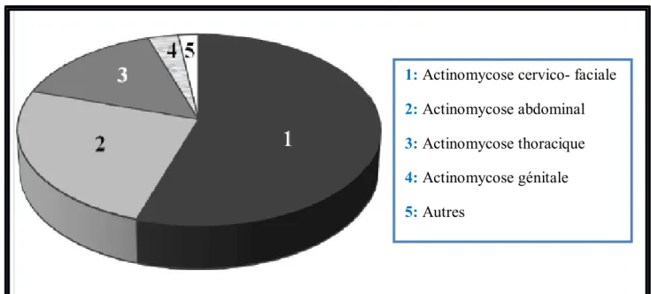 Figure 5 : Proportion des formes de l'actinomycose [22]. 