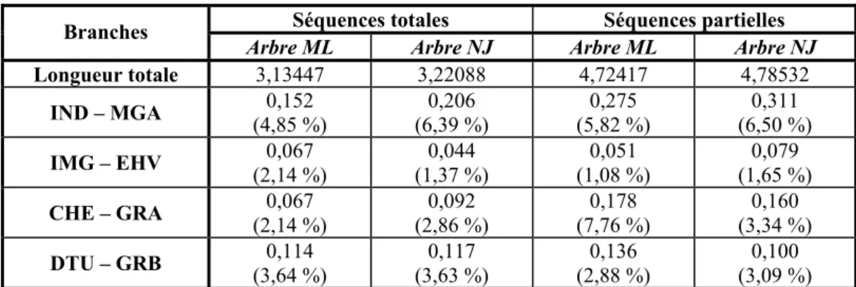 Tableau 48 : Longueurs des branches principales des topologies ML et NJ (cytochrome b 357 bp) 