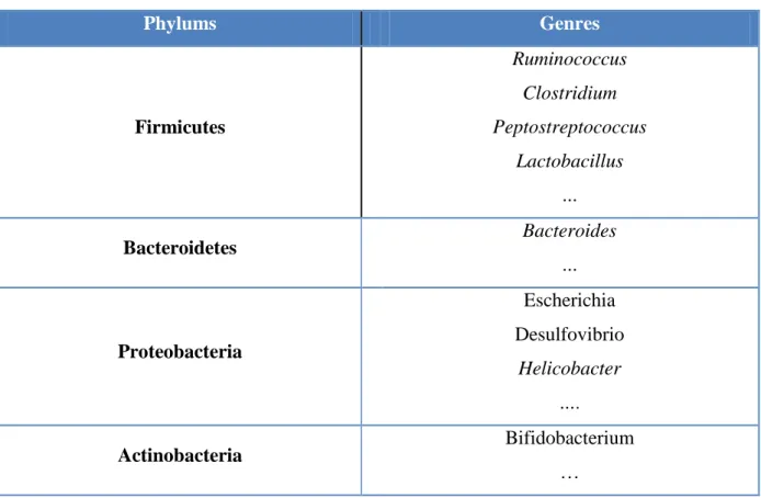 Tableau 2:  Phylums et quelques genres microbiens dominants dans le tube digestif [15]