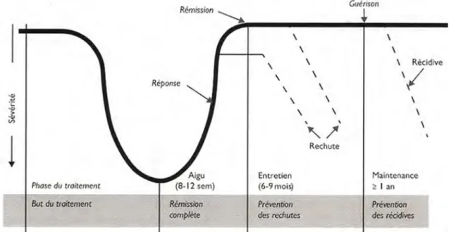 Figure 9 : Différences entre guérison et rémission ; rechute et récidive dans le cas d'un  épisode dépressif majeur