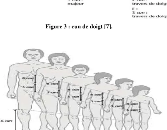 Figure 4 :cun de corps [7]. 