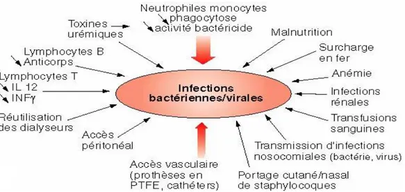 Figure 7 : Principaux causes des infections chez les dialysés  [101] 