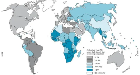 Figure 1 : Carte mondiale des  taux d’incidence de la tuberculose estimés par pays   en 2009  [159] 