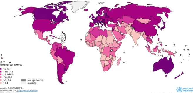 Figure 3 : Age standardized incidence rates of colorectal   cancer in the male population worldwide 