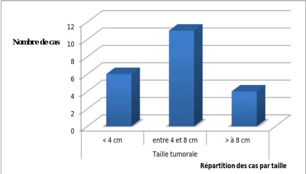 Figure 8 : Répartition des cas d'ADK colloïde muqueux selon la taille 