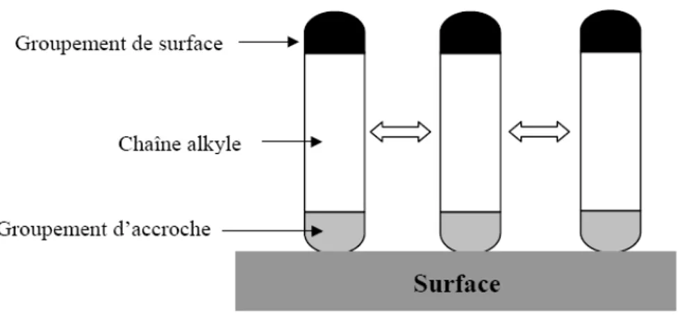 Figure 1. Schéma présentant le greffage de molécules de type alcane formant des SAMs 