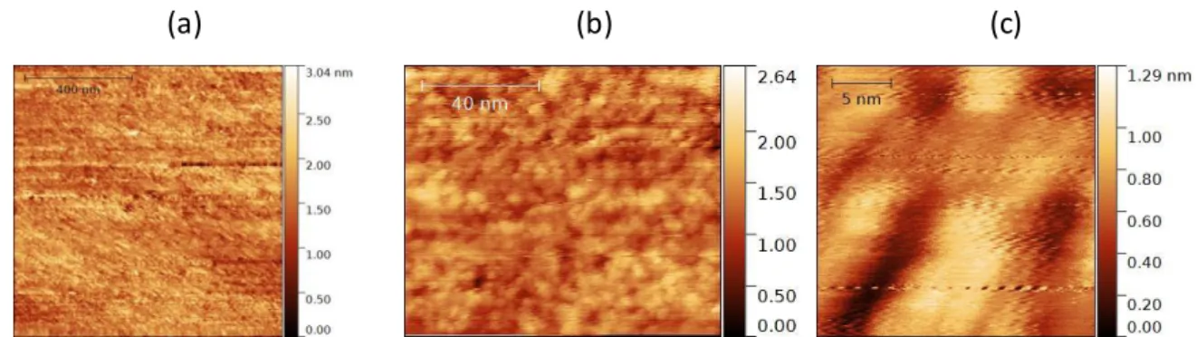 Figure 16  :  Constant  tunneling  current STM image of the Pd surface  of the Pd/Fe/GaAs  sample