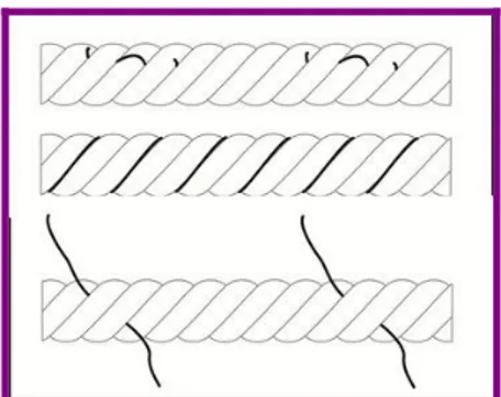 Figure 10: Les méthodes de pose de la cordelette ensemencée sur la corde 