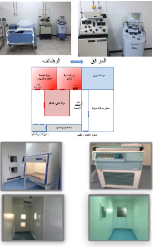 Figure 9:  Structure et équipements de la banque de tissus de Rabat 