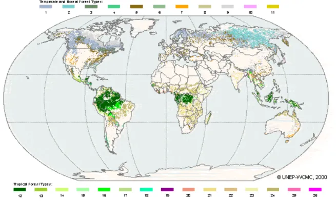 Figure 3.9: Global map of the Earth’s forest cover. Different colours represent different forest types