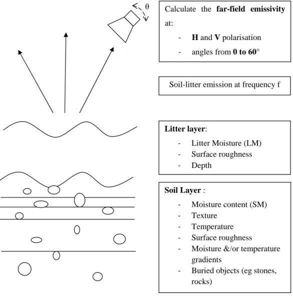 Figure 3.14: The features of the soil and litter layers and measurement conditions that  must be modelled in the approach adopted 