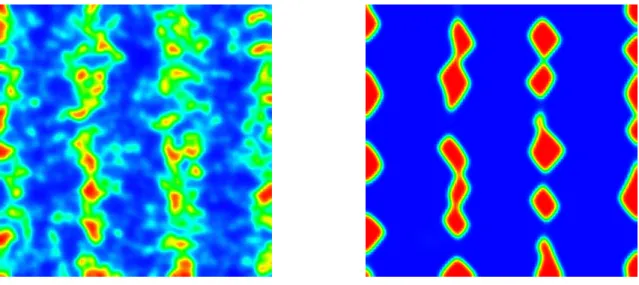 Figure 2.11 shows the evolution of the cell density at point P 1 (3.375; 2.025) in the blue line and at point P 2 (4 : 975; 2 : 825) in the red line