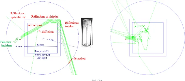 Figure 5.1 Simulations par méthode Monte-Carlo [109]. (a) Illustration de différents effets optiques es- es-sentiellement liés à la cuve d’analyse (ici de section carrée et parfaitement polie) : réflexions spéculaires,  multiples et totales, réfractions