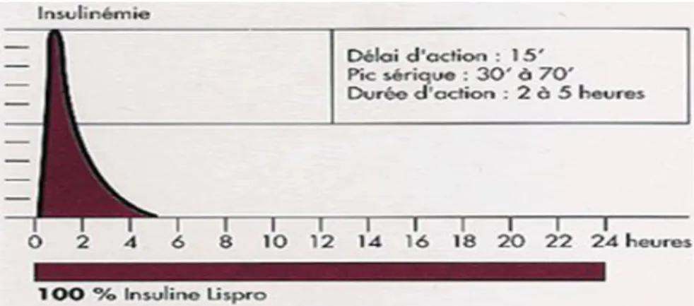 Figure 12. Profil d’insulinémie de l’insuline Lispro [17] 